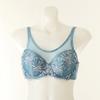 Sensual Full Makeup Bra Dbr0461cd