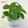Artificial Plants Plastic For Home Decor Photography Props Wedding Decoration