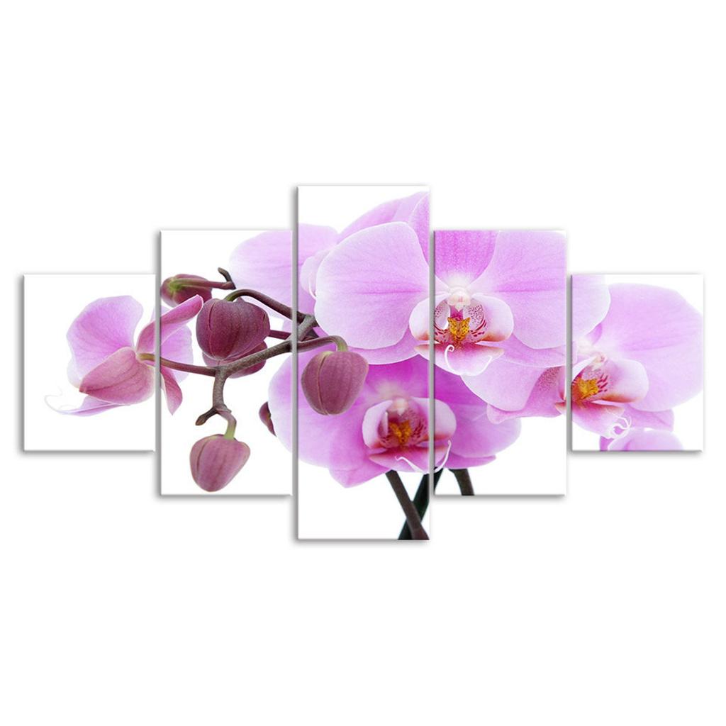 Rosa Orchideenblüte Weißer Hintergrund 5-teilig Fünf-Panel Wand Leinwanddruck Modernes Kunstposter Bild Heimdekoration Geschenk für Ihn Für Sie