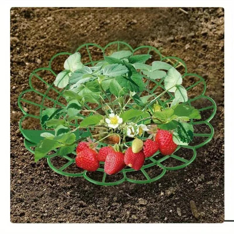 5/20 ks Podpěry na jahody se 3 podpěrnými nohami Podpěra pro plody rostlin Stojany na pěstování zeleniny Přenosné zahradní potřeby