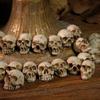 Resin Skull Decoration Halloween Mini Skull Figurine Set for Table Decor Haunted House Props Micro Landscape Resin for Dollhouse