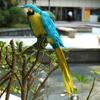 Artificial Feather Blue Birds Parrot Craft Taxidermy Home Decor Ornament