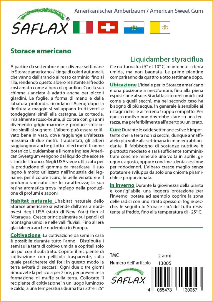 SAFLAX American Sweet Gum - 100 Seeds - Liquidamber Styraciflua