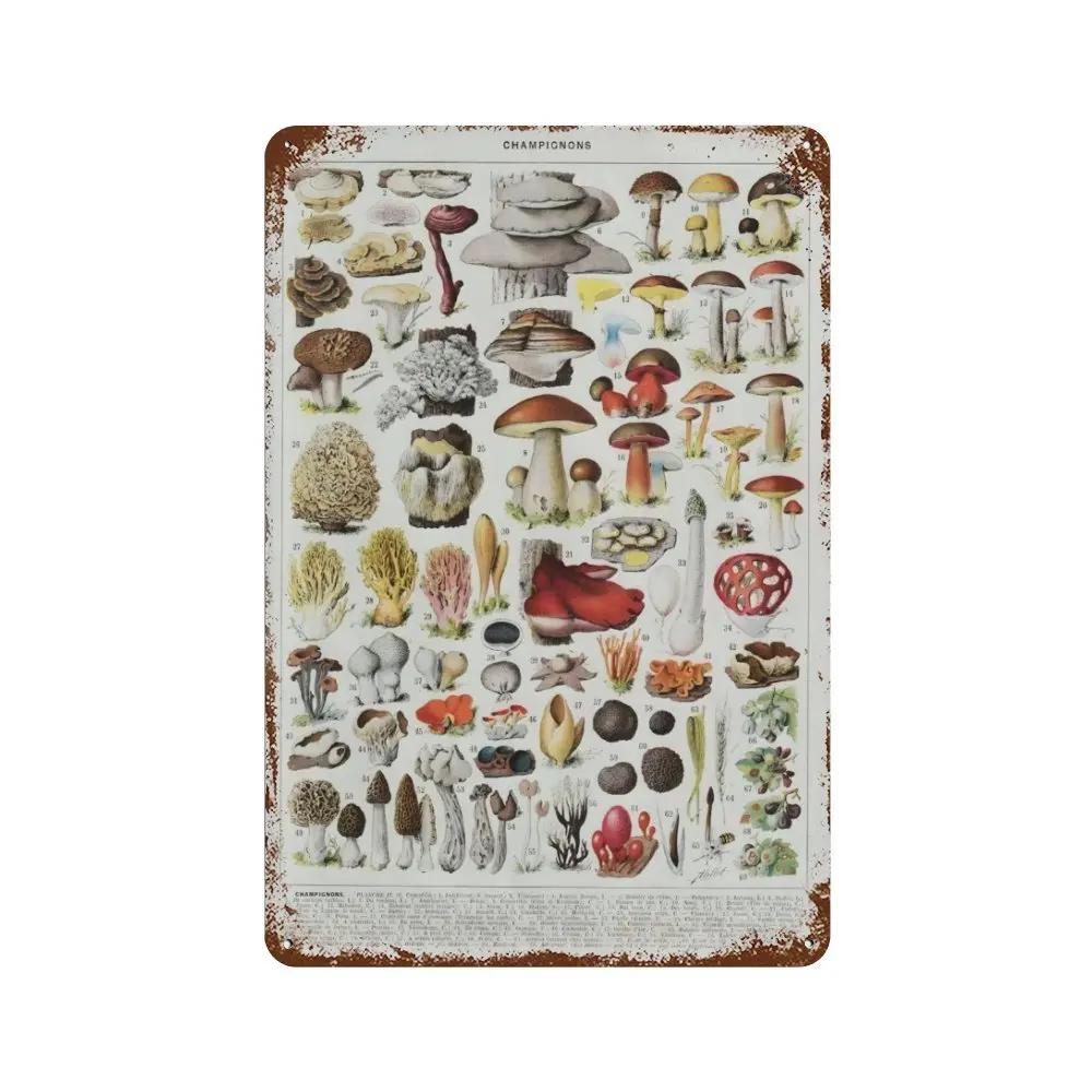 Vintage Pilz Medizin Blume Insekt Schmetterling Gemüse Kürbis Karotte Metall Aluminium Schilder Heim Zimmer Garten Wandkunst Pla