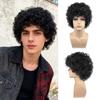 Men Synthetic Short Black Wigs Stylish Fluffy Curly Hair With Bangs for Daily Party Cosplay High Temperature Fiber