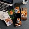 Fox Casing Phone Cover for Xiaomi Redmi Note 13 14 ProPlus A4 A3 Pro Plus 13C Pro+ Note13 Note14 Soft Case