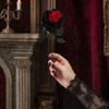 Flor de Rosa Artificial, Rosa Gótica Negra Roja de Seda Artificial con Tallo Largo para Arreglo Floral de Halloween, Centro de Mesa para Bodas en Casa