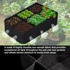 Fabric Raised Garden Bed 4x2x1ft Garden Grow Bed Bags for Growing Herbs, Flowers and Vegetables 55 Gallon