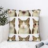 Meowl Cat Mood Board Pillowcases  Funny Pillow Case For Office Car Home Decor Square Pillow Cover