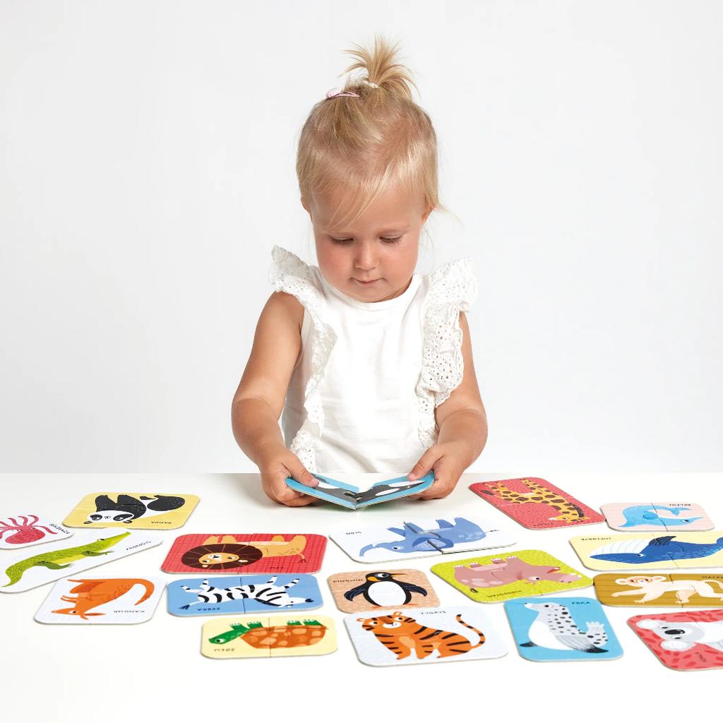 Puzzle Pairs. Wild Animals