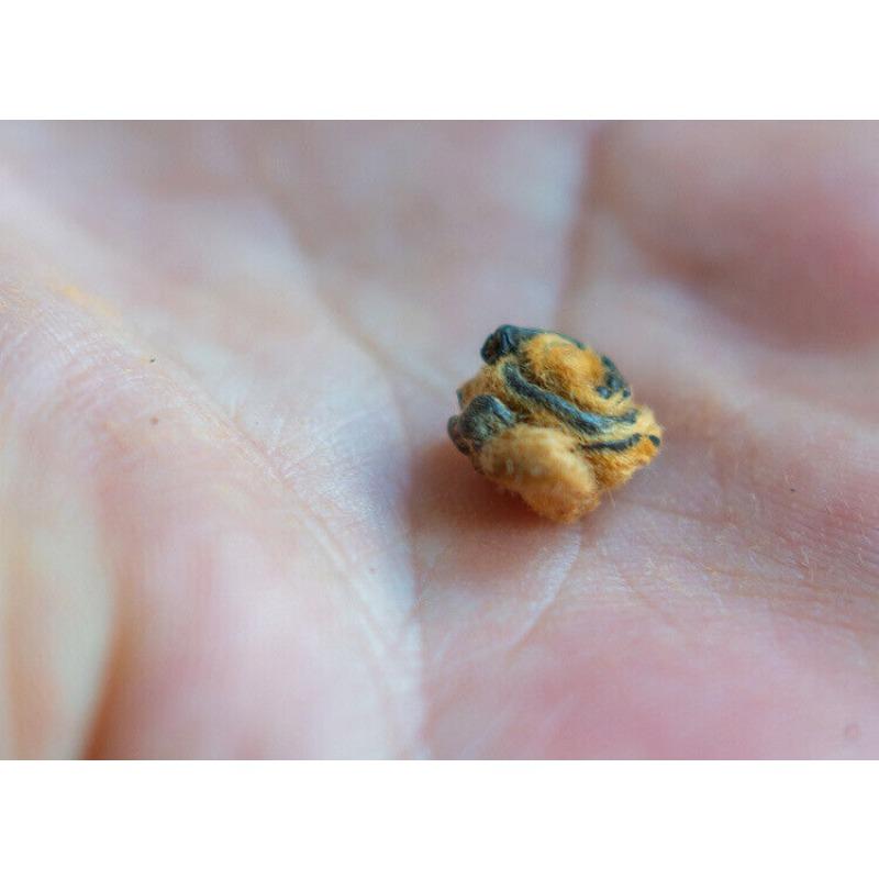 Чай Фэнцин Дянь Хун Золотая улитка Весенний чай Юньнань Черный чай Красная улитка Золотой — фото 3