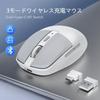 Wireless Mouse, Connects to 3 Devices, 2.4G Bluetooth, USBType-C Receiver, Quiet, Lightweight, 100016024003200 DPI, 6 Buttons (ForwardBack),