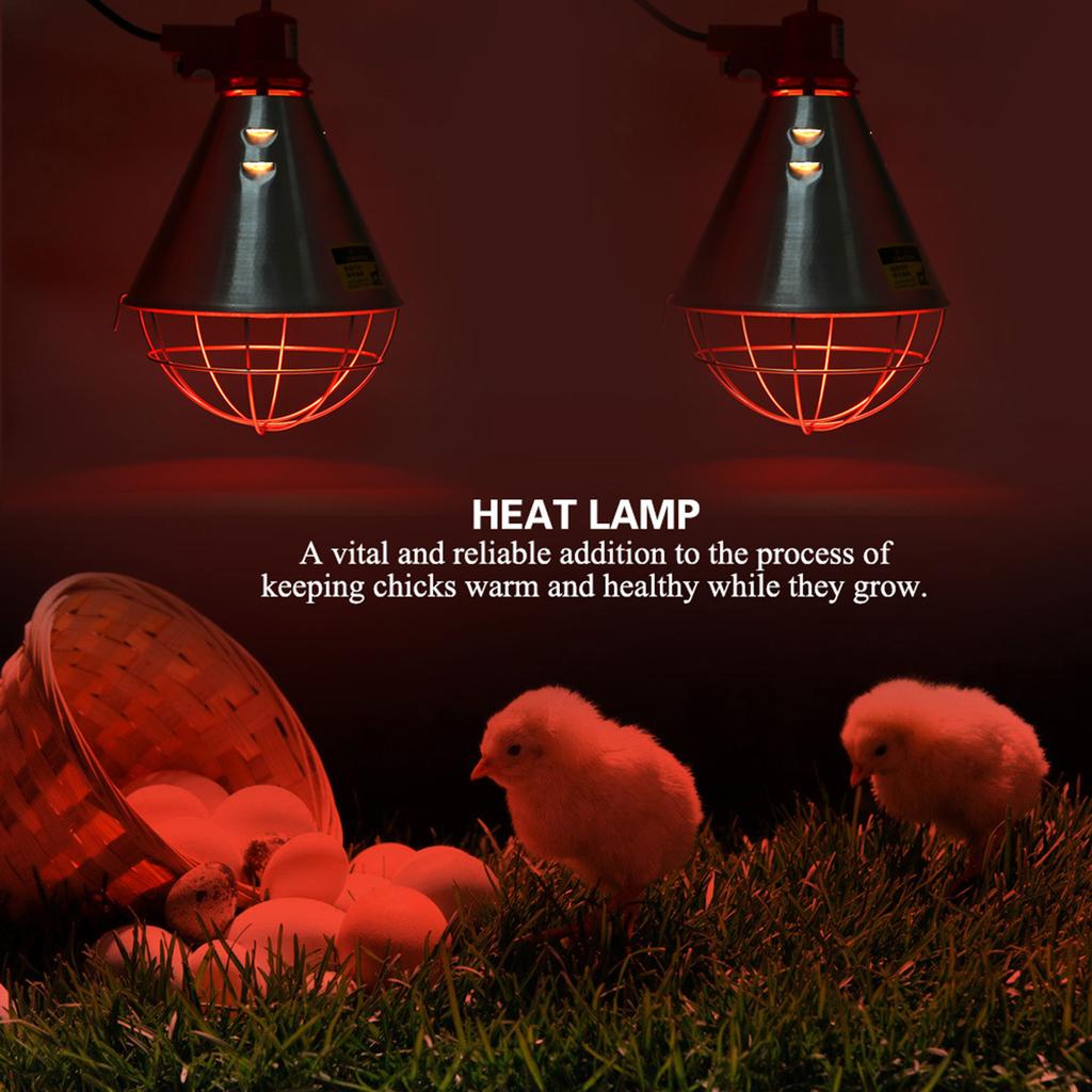 Geflügel-Isolierungslampenschirm, Infrarot-Wärmelampe, Lampenschirm, Geflügel-Heizlampenkappe für Küken, Schwein