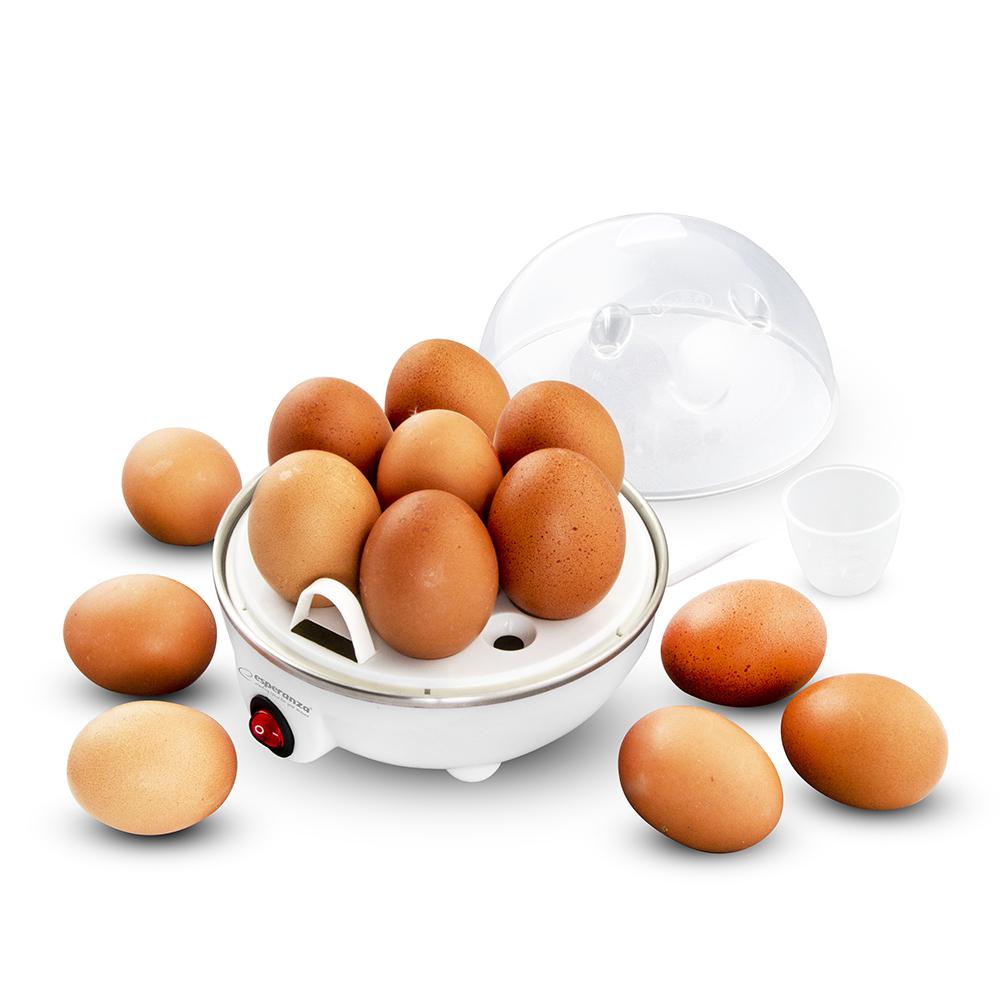 EKE001 ESPERANZA EGG MASTER