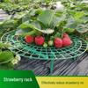 Strawberry Planting Tray Stand - Anti-Rot Fruit Support for Home Horticulture