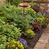 Garden Stake with Flower Outdoor Iron Sturdy for Lawns, Homeowners