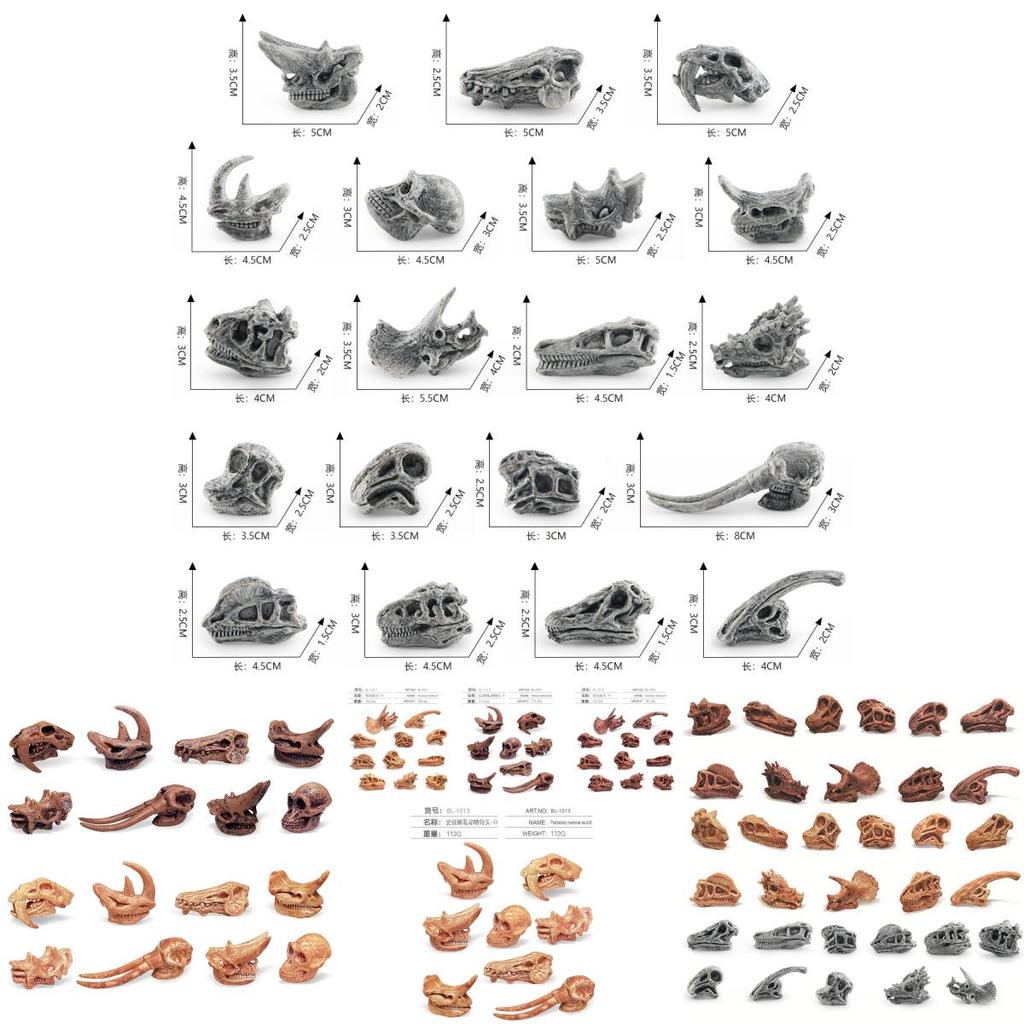 Realistic Jurassic Dinosaur Skull Model Toy For Kids Educational Archaeology Fun