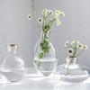 Nordic Transparent Glass Vase Avocado Seed Starters Vase Minimalist Small Plant Pots Gift for Gardening Lovers Home Decor