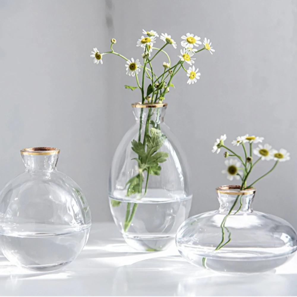 Nordic Transparent Glass Vase Avocado Seed Starters Vase Minimalist Small Plant Pots Gift for Gardening Lovers Home Decor