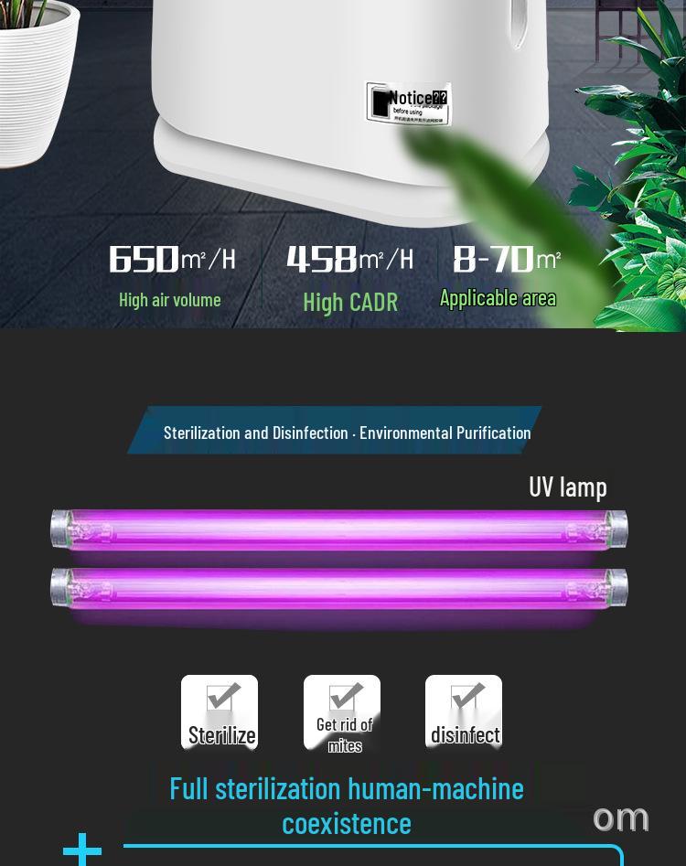 Household Air Purifier with Activated Carbon Filter for Removing Formaldehyde, Smoke, and Dust