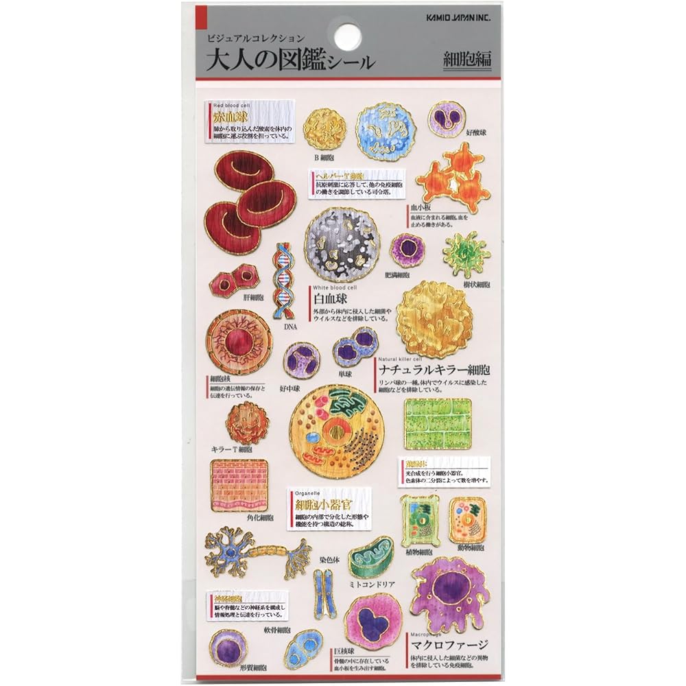 Kamio Japan Adult Encyclopedia Stickers Cell 228109