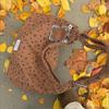 INS Style Bow Decoration Canvas Crossbody Bag Spring Casual Shoulder Bag Portable Fashion Handbag for Women Daily Use
