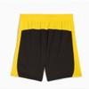Puma Bvb Shorts Replica 780127 05