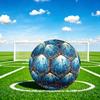 1pc Oceanic Dolphins Theme Soccer Ball Football, Size 5, Lightweight PVC, Outdoor Training Soccer Ball,Sports Gift t61422