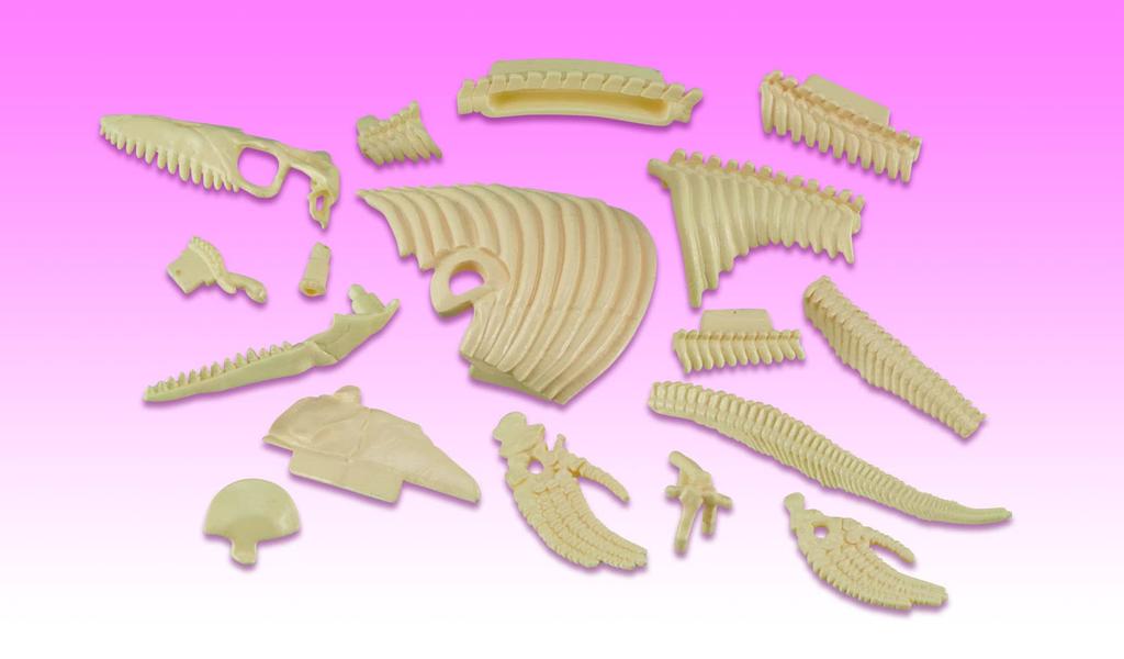 MegaHouse Disassembly Puzzle Science Mosasaurus Reconstruction Puzzle