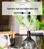 Transparent glas hydroponisk vas för blomsterarrangemang - Japansk klockblomma & Andromeda