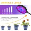 DC5V 2/3/4 Head Timing Full Spectrum Phyto Lamp Fruit Vegetable Grow Light USB Clip LED RedBlue Indoor Plant Grow Light