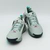 FQ0908-013 Nike Pegasus Trail 5 GORE-TEX Light Silver Clay Green Mint Foam (Men'