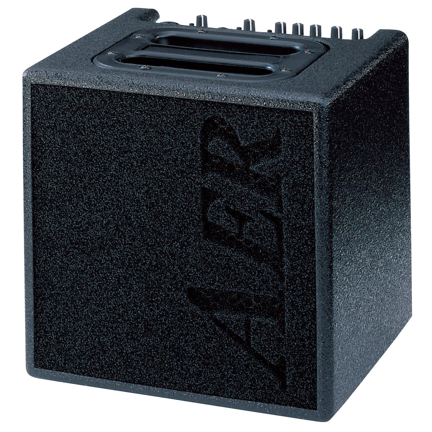

AER Acoustic Guitar Amplifier 40W Alpha