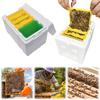 Foam Bee Box Versatile Queen Bee Breeding Box Bee Mating Box Queen Bee Rearing Beehive Beekeeper Suppliers