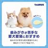 Torus Toothbrush Rakuya 25g