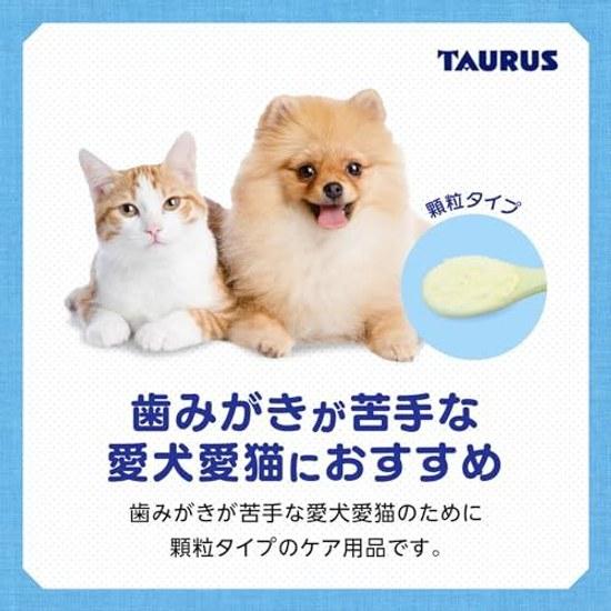Torus Toothbrush Rakuya 25g