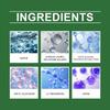 Multifunctional Kitchen Appliance Cleaner Enzyme Based Formula for Household Appliances Stovetop and Grease Removal Spray 300ml