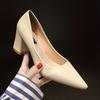 Dicke High Heel Schuhe Damen Pumps Spitze Zehen Arbeitsschuhe Frau Slip On Plateau Pumps Lady Frühling Herbst zapatos de mujer WSH3168