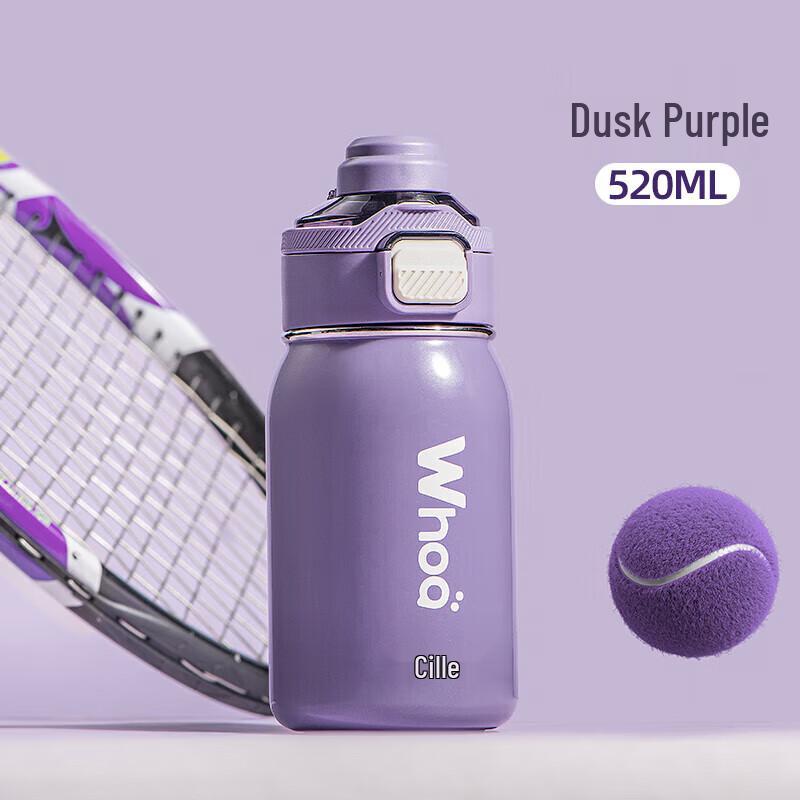 Cille 520ml 316 SS Dual-Drink Insulated Bottle with Handle