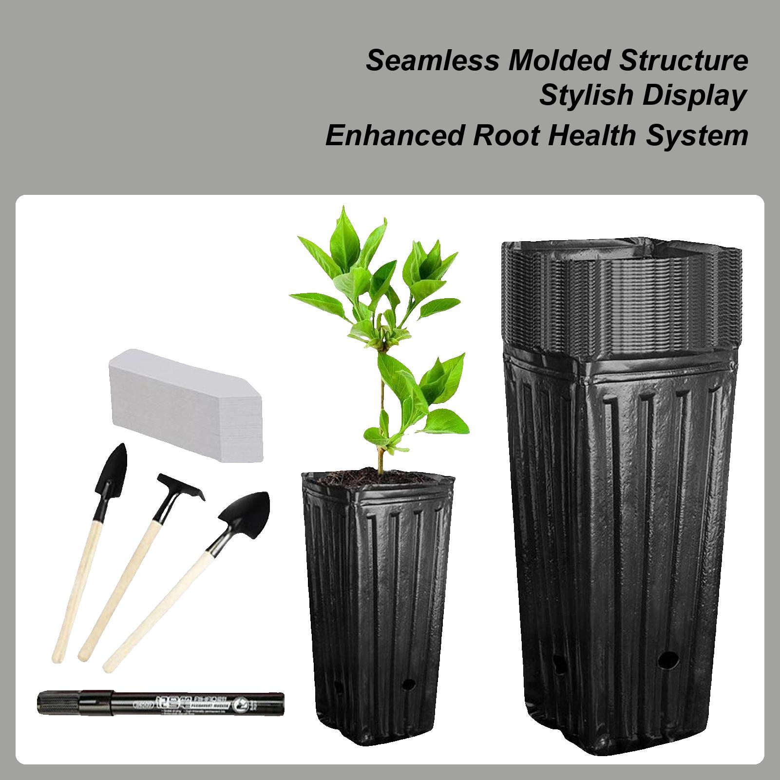 

Tall Deep Tree Pots Set Plant Nursery Tall Flower Plant Containers Starting Pots Plant Seedling Nursery Pots for Outdoor Garden China Mainland