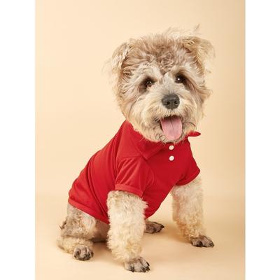 1 pc Polo Chemise pour animaux de compagnie, Adapté pour un usage quotidien