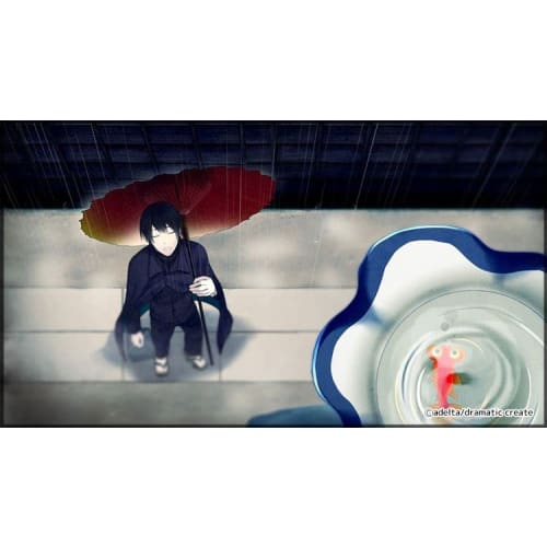 hashihime of the used bookstore district - switch
