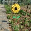 Sunflower Windmill 75cm/29.5in Metal Sunflower Windmill Windmill For Lawn Garden Yard Vintage Metal Sunflower
