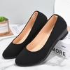 Cloth shoes women's single shoes spring and autumn new slope heel hotel tooling shoes soft sole one pedal casual shoes women
