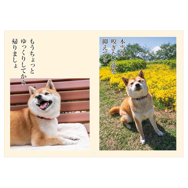 2025 Dog Senryu Calendar No.018