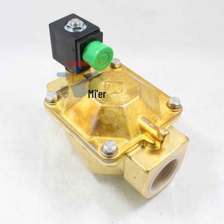 Solenoid Valve 21W5KV350 DN32: 220V/24V/12V Two-Way Steam Valve