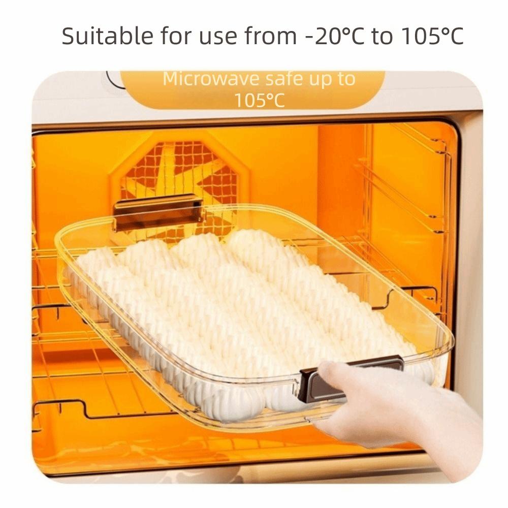 Food Grade Multilayer Dumpling Storage Box Transparent Wonton Storage Box for Home