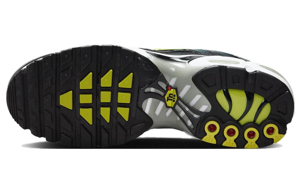 Nike Air Max Plus Bright Cactus DM0032-006