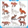 Wild Fox Models Set: Red, White, Arctic, Kit - Children's Educational Ornaments