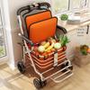 Nanluo Folding Elderly Walker with Seat